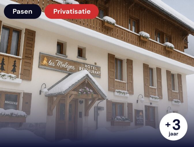 Hotel/Chalet Les Mélèzes